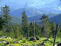 fruehling84 blick ins klammerloch